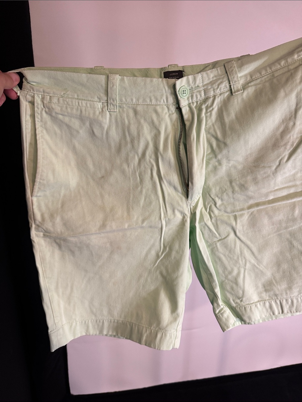 J. Crew Light Mint Flat Front Shorts